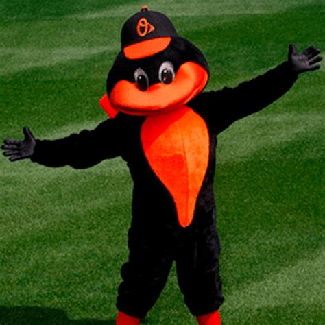 The Black Bird Brotherhood: the Fraternity of Baltimore Mascots